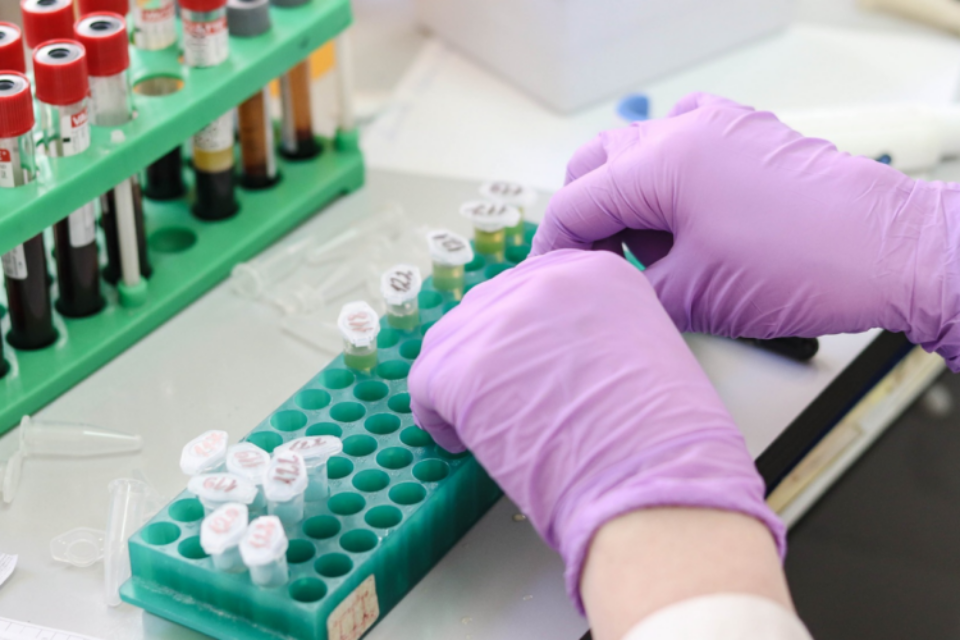 A researcher is wearing gloves and organising samples in a lab. A close-up of their hands and vials.