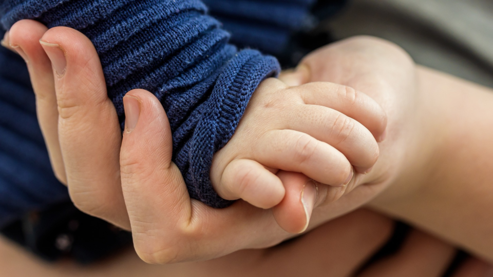 A close up of a baby's hand grasping the parent's hand