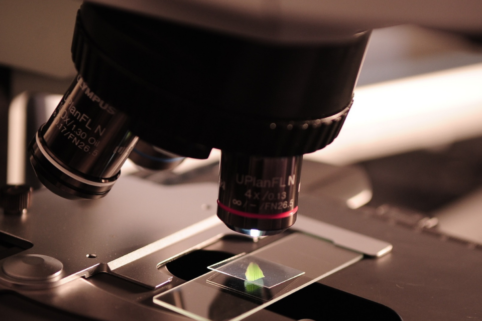 Close-up of a microscope looking at a sample on a glass slide