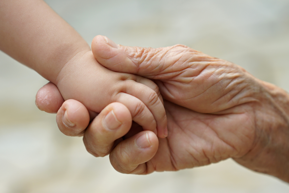 An adult hand is holding a baby's hand. Both have light skin tones.