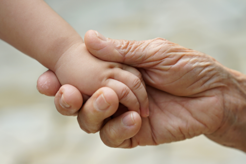 An adult hand is holding a baby's hand. Both have light skin tones.