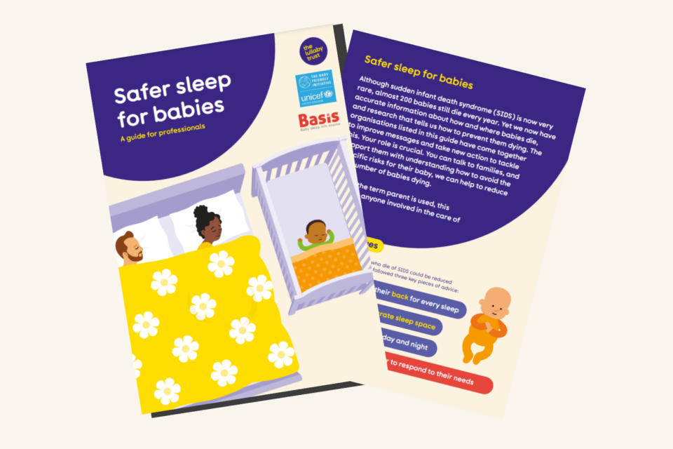 Professionals guide to safer sleep for babies
