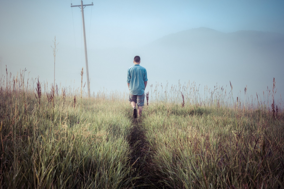 Man with his back to the camera in the distance walking in a field.