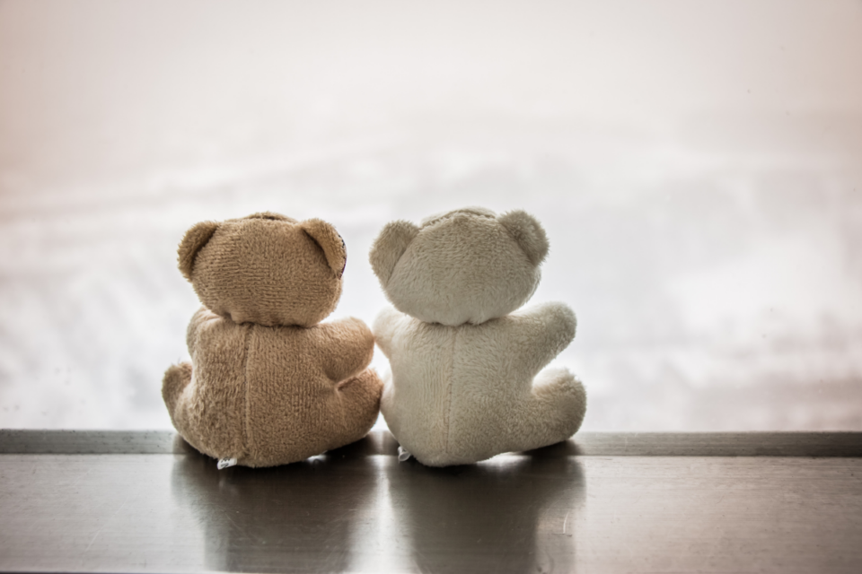 Two teddy bears sitting beside each other with their backs to the camera.