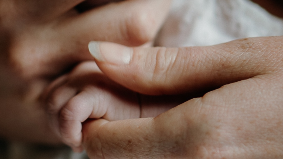 A close up of a baby's hand grasping the parent's hand