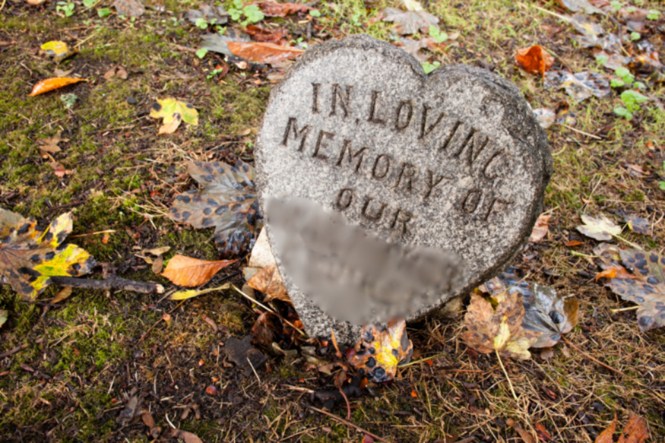 Memorial stone on the floor surrounded by Autumn leaves.