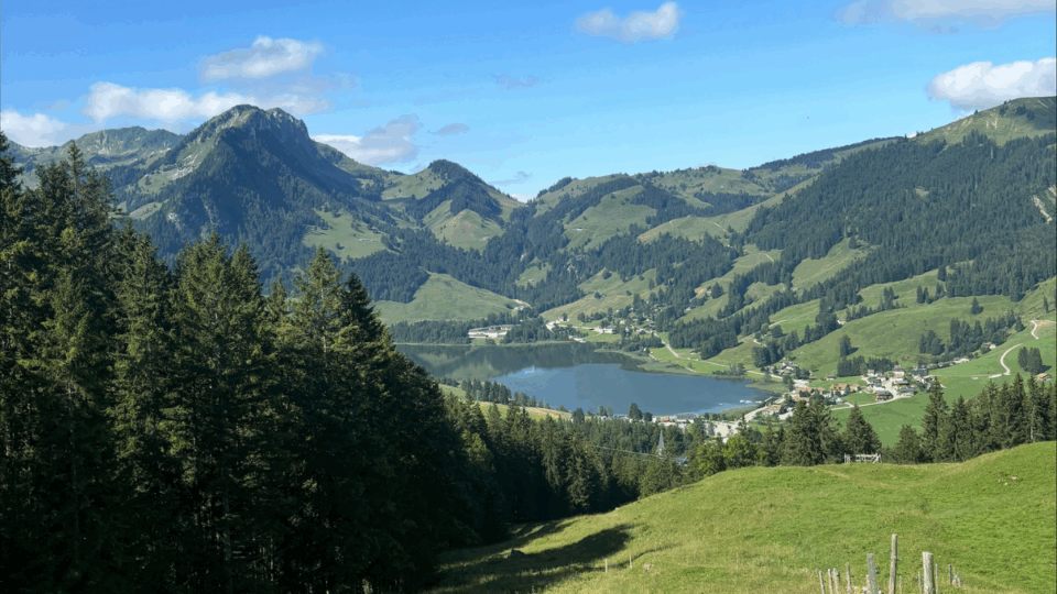 A natural landscape with grass and trees, and mountains in the background.