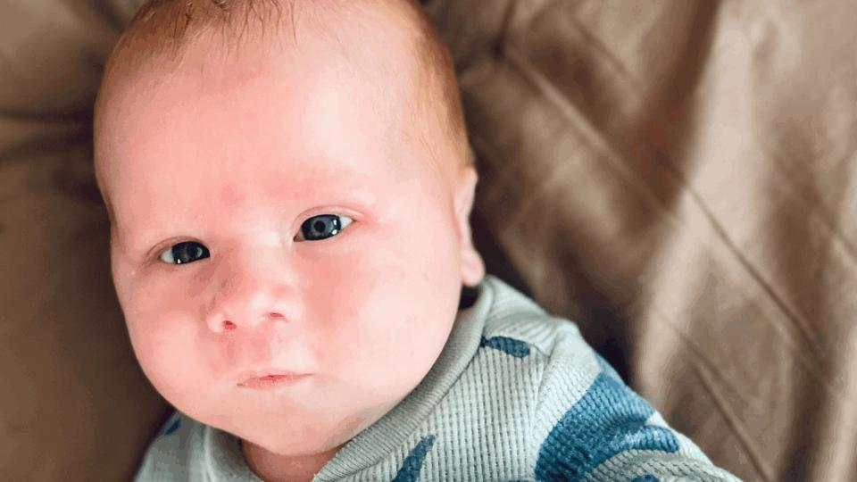 Baby Jagger, sitting on the sofa looking at the camera.