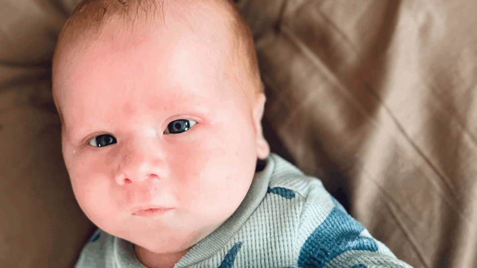Baby Jagger, sitting on the sofa looking at the camera.