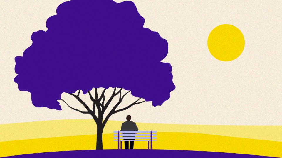 Person sitting on a bench next to a tree looking at the sunset.