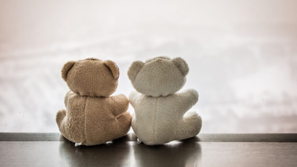 Two small memory teddy bears are sat on a table, side by side with their back facing us
