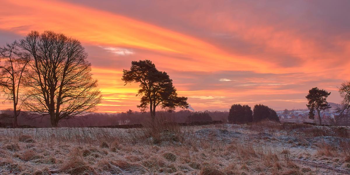 A landscape shot of Scottish fields, bare and full trees against a bright orange and coral sunset.