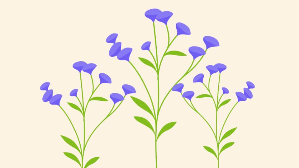 Illustration of purple wildflowers