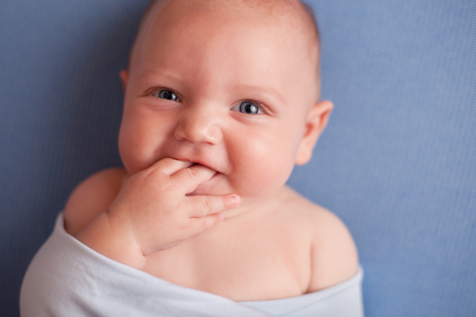 Awake baby in a swaddle, looking at the camera, their hand in their mouth