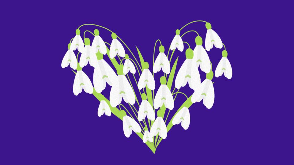 Illustration of snowdrops in a heart formation, on a purple background.