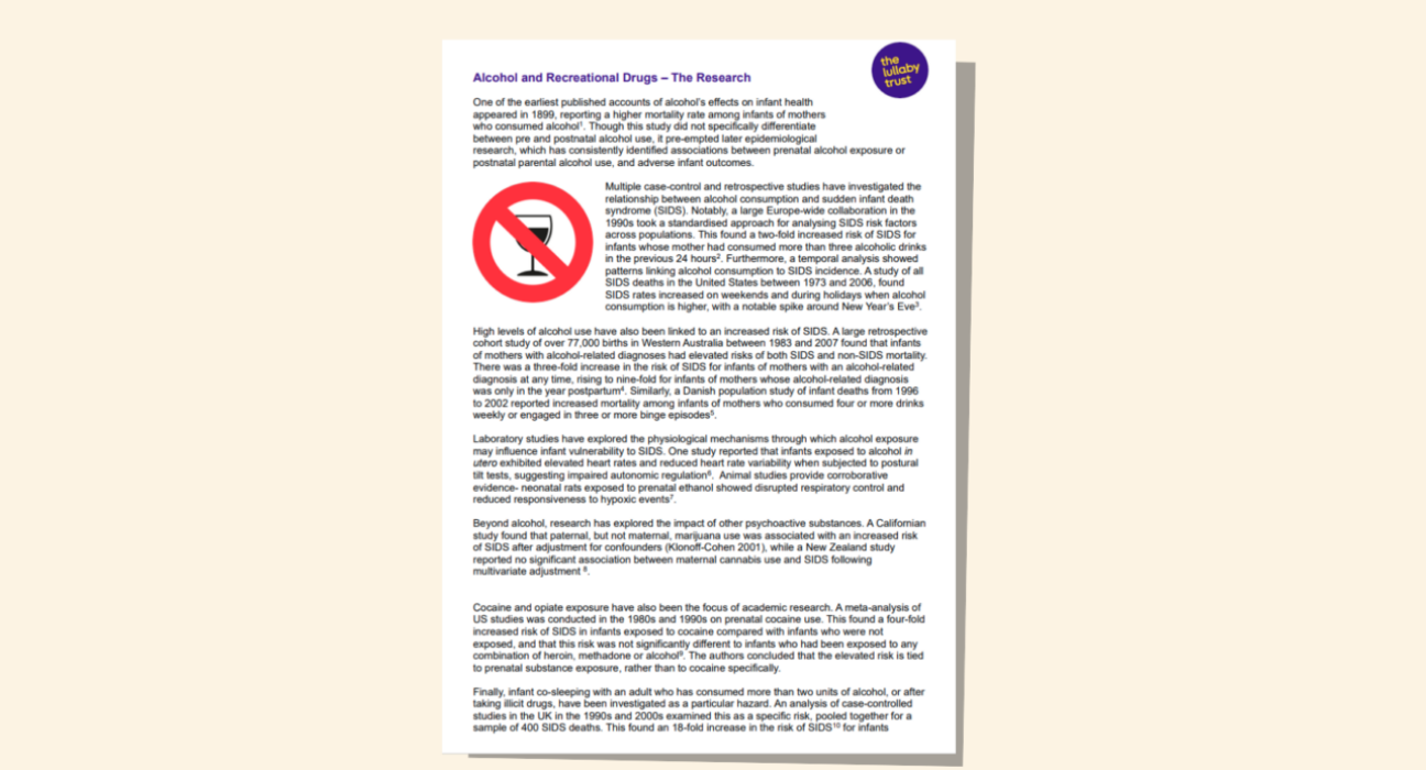 Screenshot of evidence base document about alcohol.