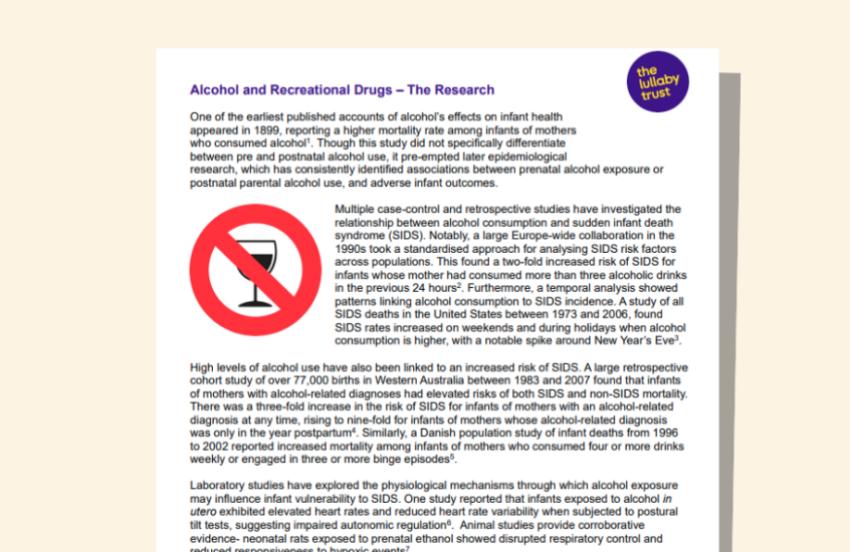 Screenshot of evidence base document about alcohol.