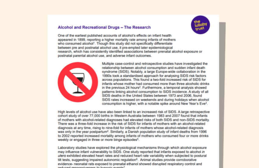 Screenshot of evidence base document about alcohol.