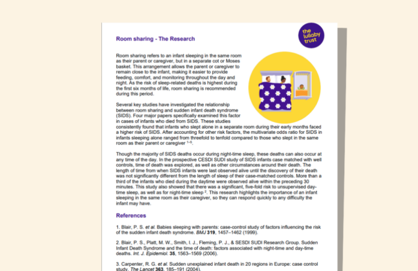 Screenshot of evidence base document about room sharing.