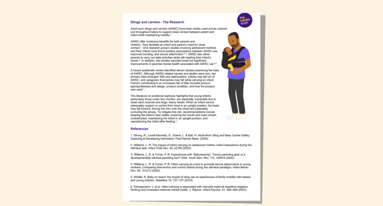 Screenshot of evidence base document about baby slings and carriers.
