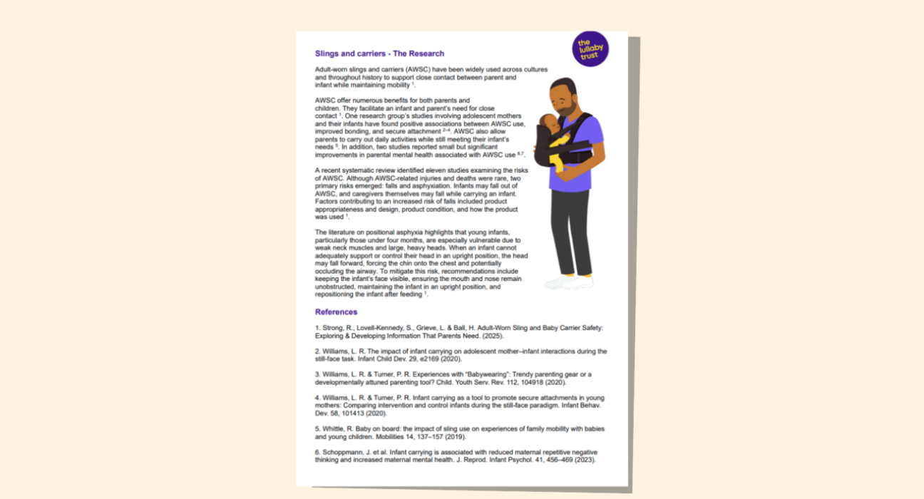 Screenshot of evidence base document about baby slings and carriers.