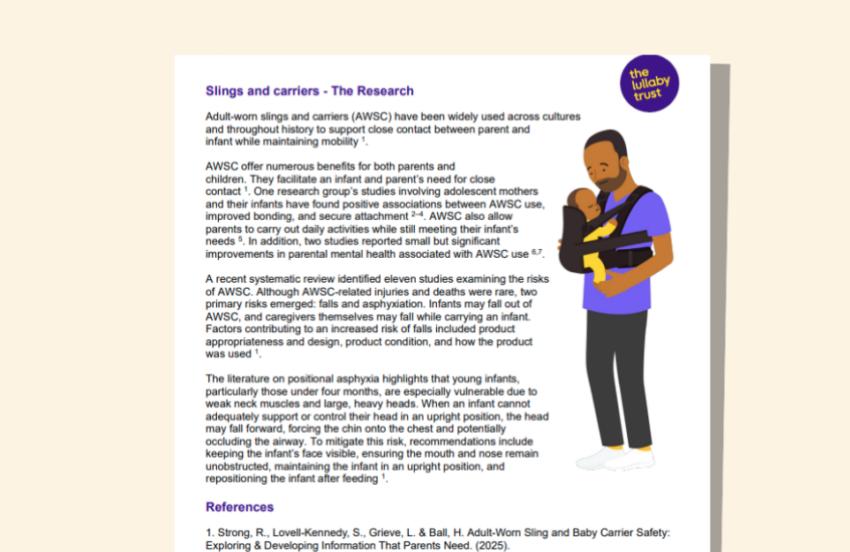 Screenshot of evidence base document about baby slings and carriers.
