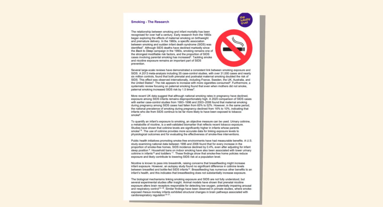 Screenshot of evidence base document about smoking.