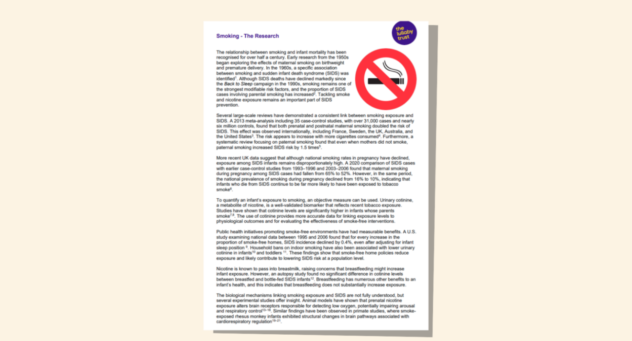 Screenshot of evidence base document about smoking.