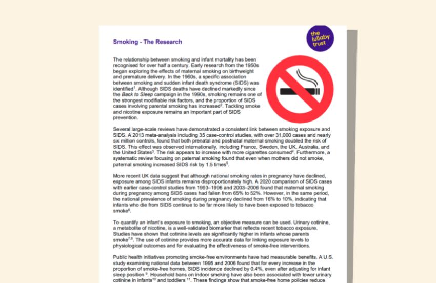 Screenshot of evidence base document about smoking.
