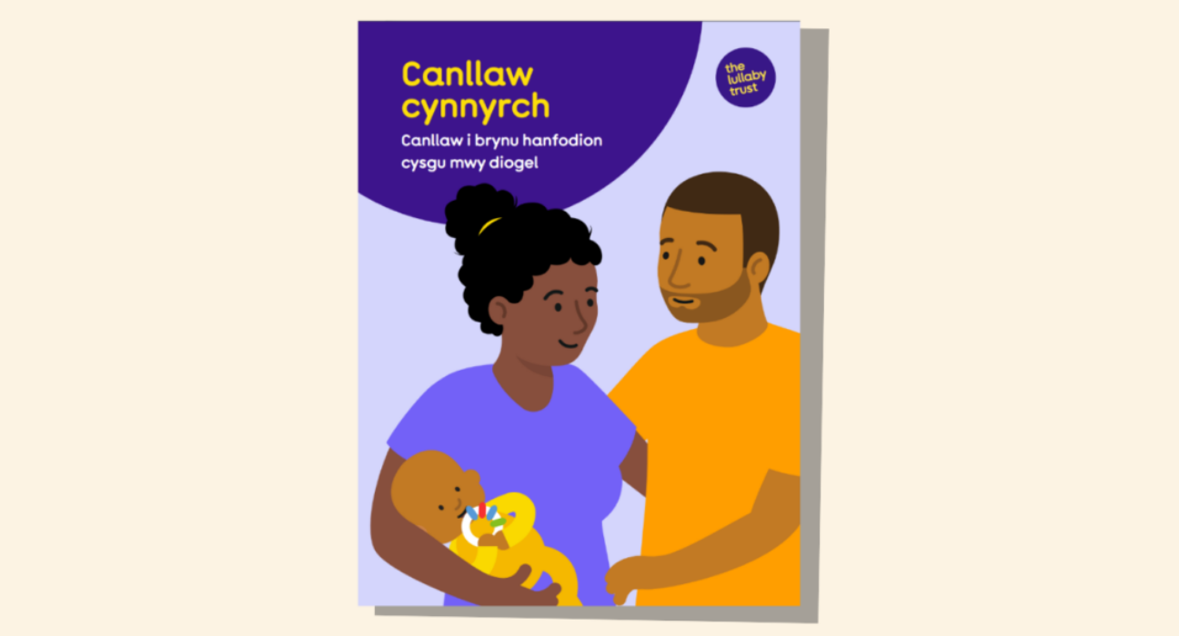 Screenshot of the front cover of the Welsh version of the Product guide