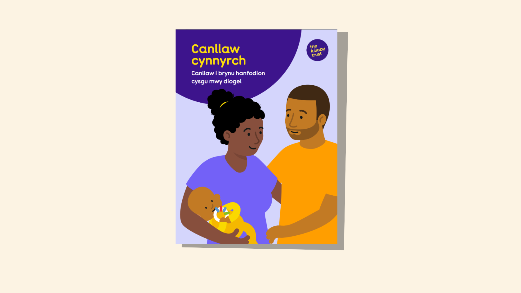 Screenshot of the front cover of the Welsh version of the Product guide