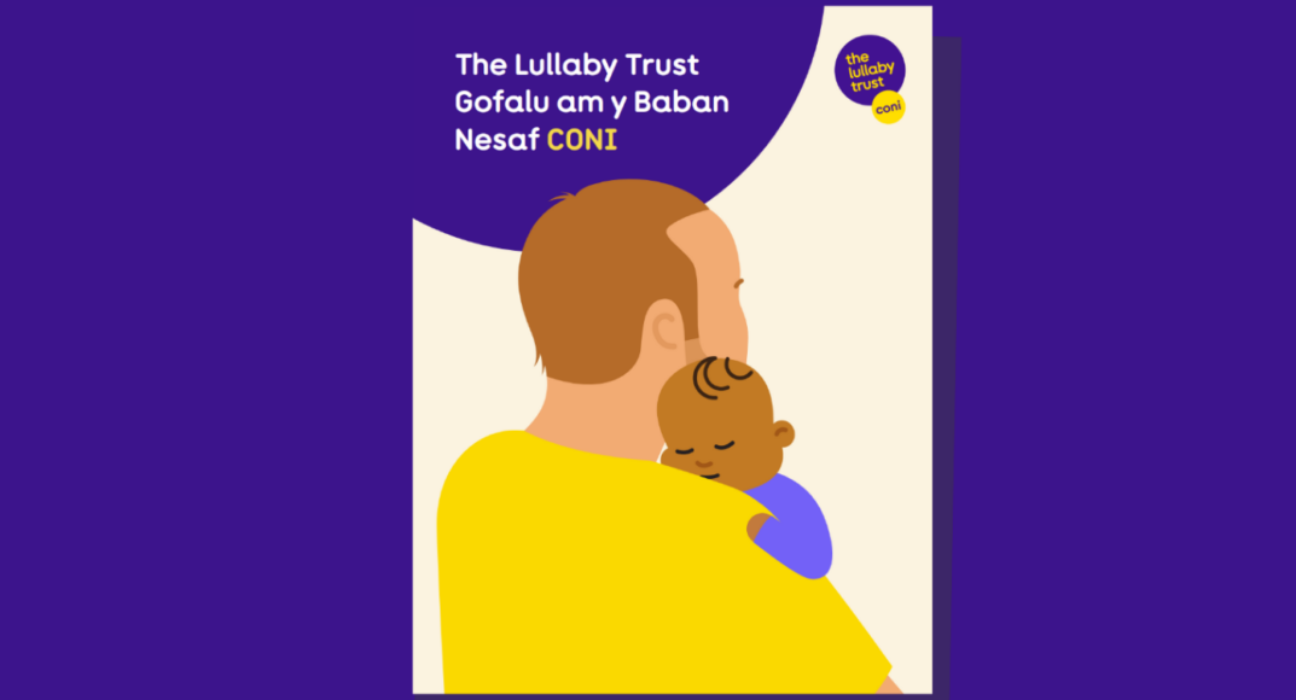 Screenshot of the front cover of About CONI booklet in Welsh