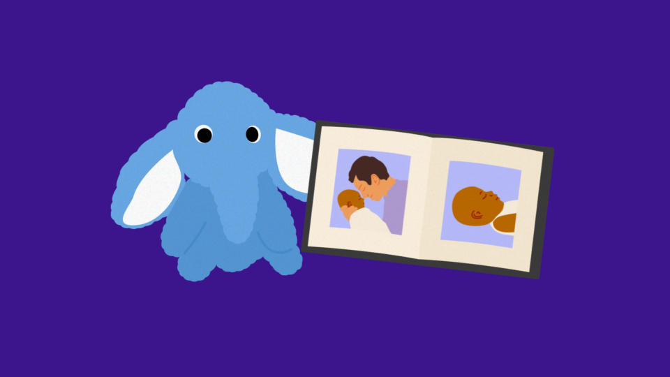 Illustrations of a blue elephant toy and a photo book for a baby.