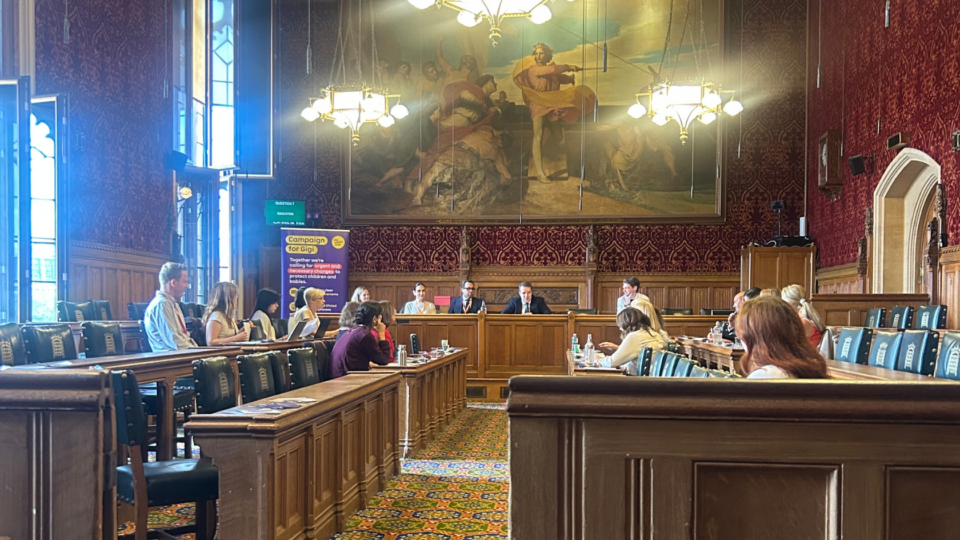Safer sleep roundtable. Experts discussing safer sleep in parliament.