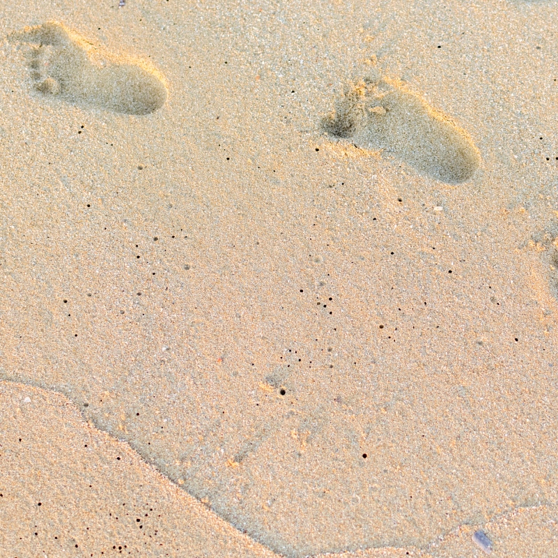 Little footprints in the sand