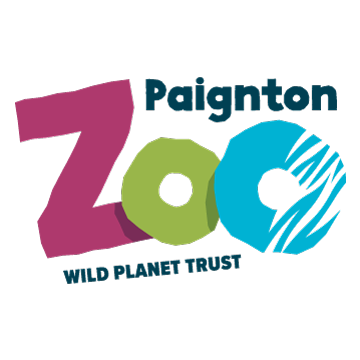 Paignton zoo Lullaby Trust family day 2022